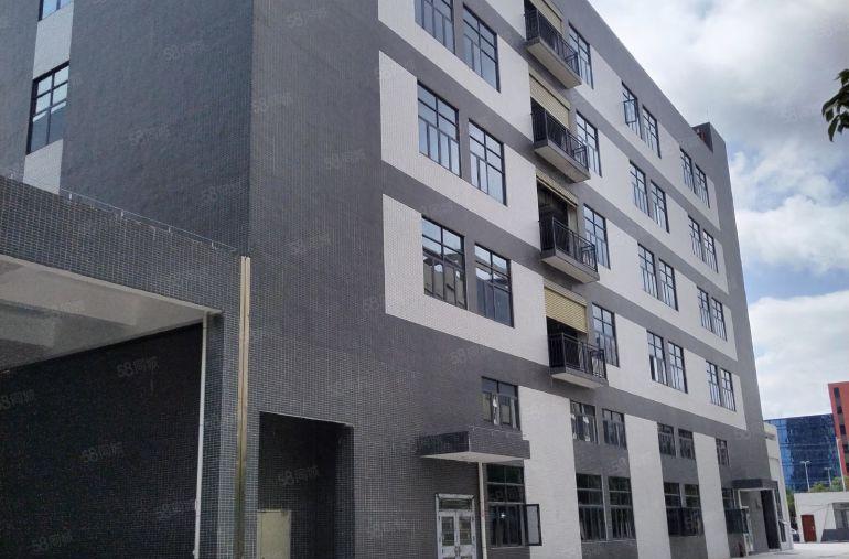 水口东江高新区原房东独栋五层全新标准厂房仓库出租