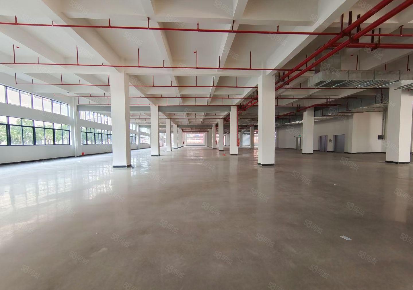 全新独院工业园可办环评丙二类消防15,000平方厂房可分租