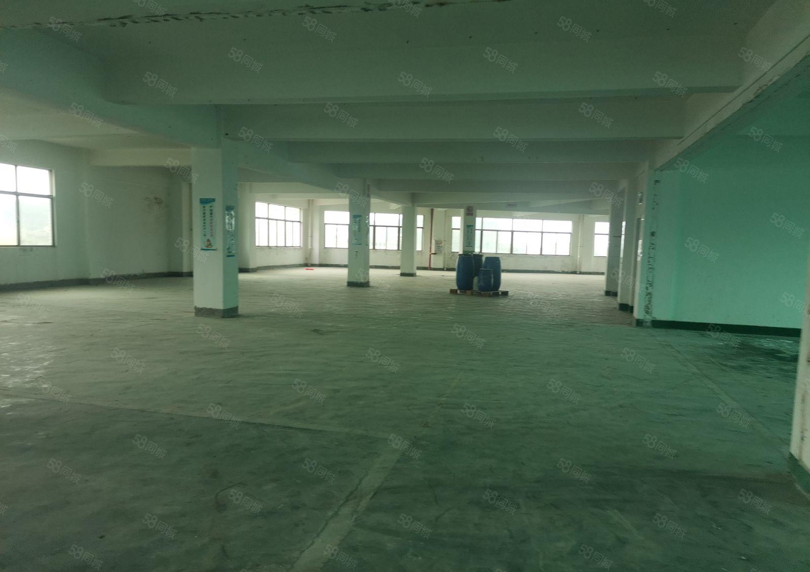 水口东江工业区仓库厂房出租，全新200平方米！有三相电！