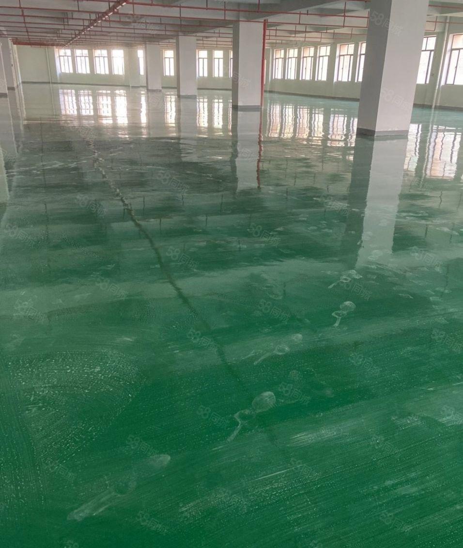 水口荔枝城工业区500至2000平方标准厂房，租金10元证件