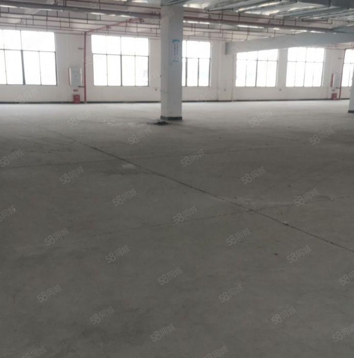 10元厂房荔枝城工业园区5007000平米大小可分割出租