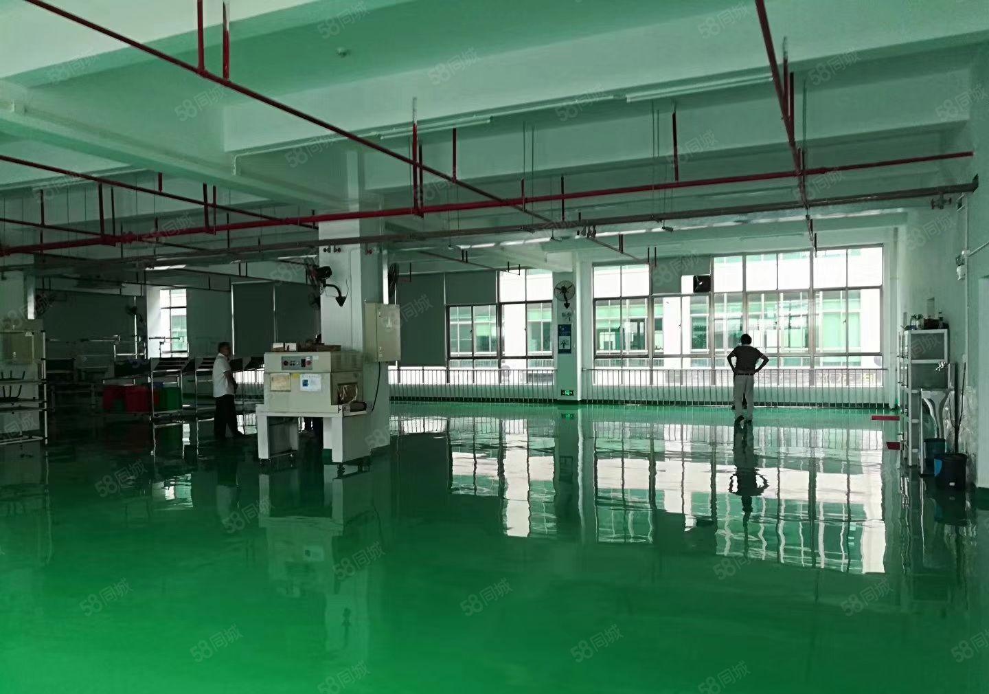 马安新湖工业园区7楼700平方厂房出租