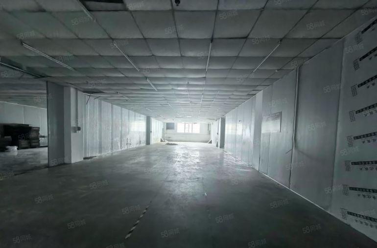 河南岸新空出单层1300平，10元500平起独院租