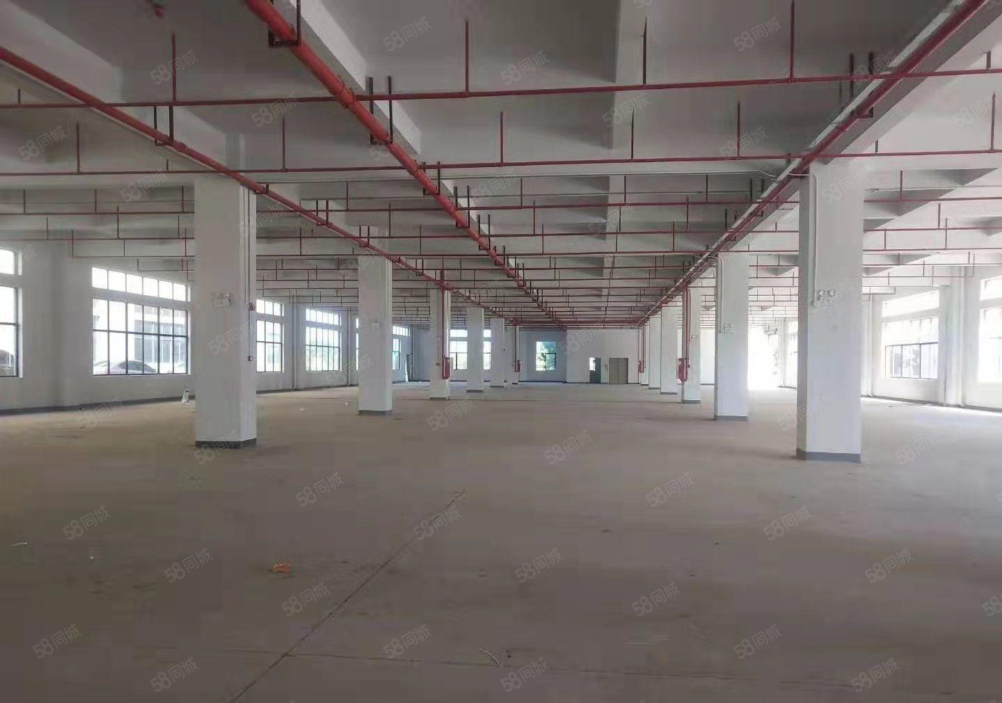 东江高新区全新园区招租，3000平米，租金实惠