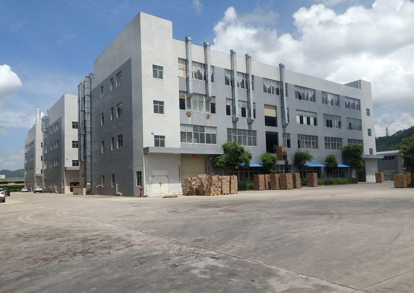 13元起租惠城水口独门独院8000平厂房仓库出租可分租空地大