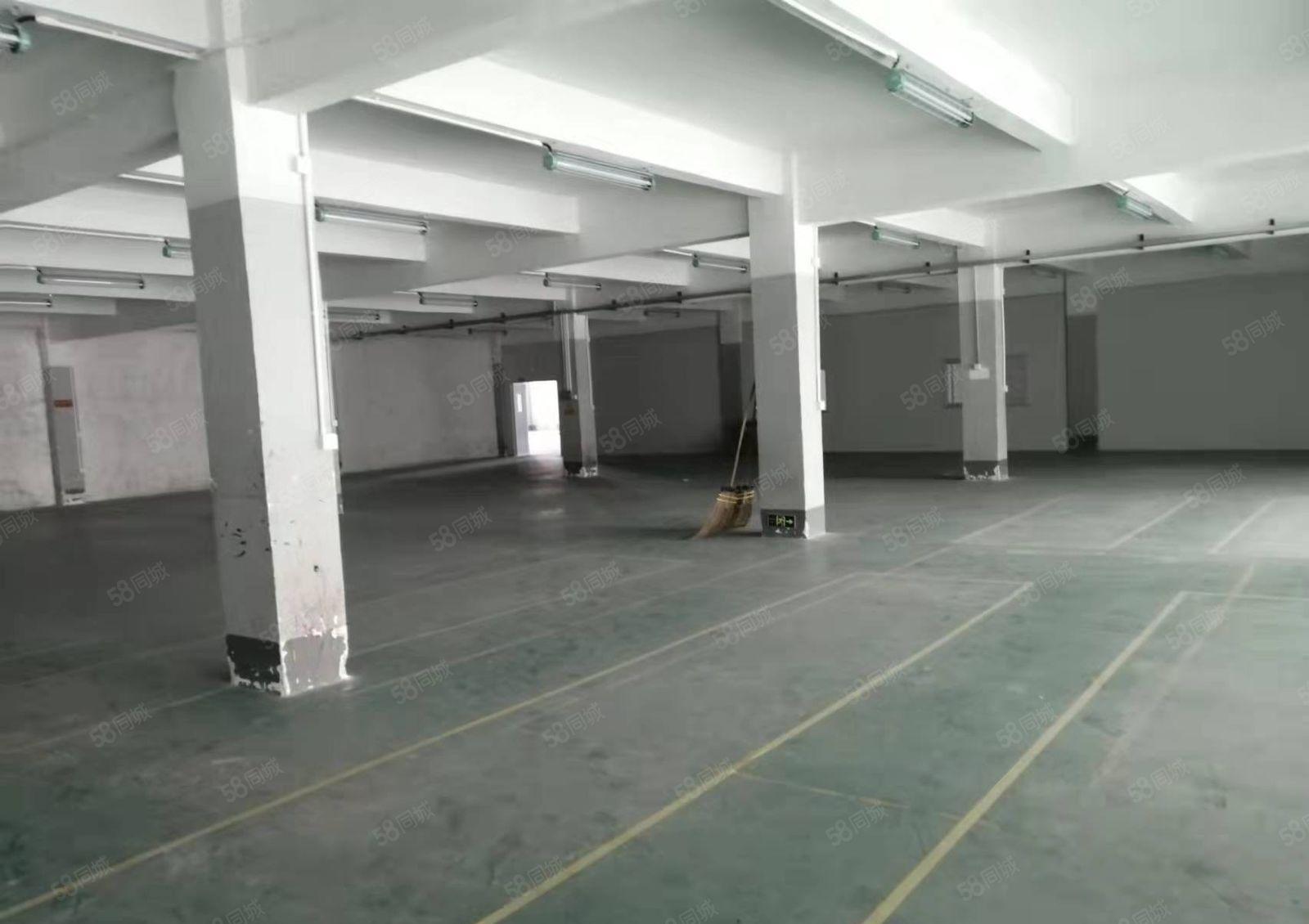 小金新出13块每平（原房东独院厂房）