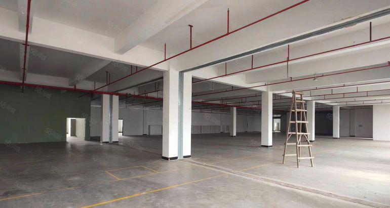 水口独门独院厂房出租，1.8万平方米，原房东无公摊