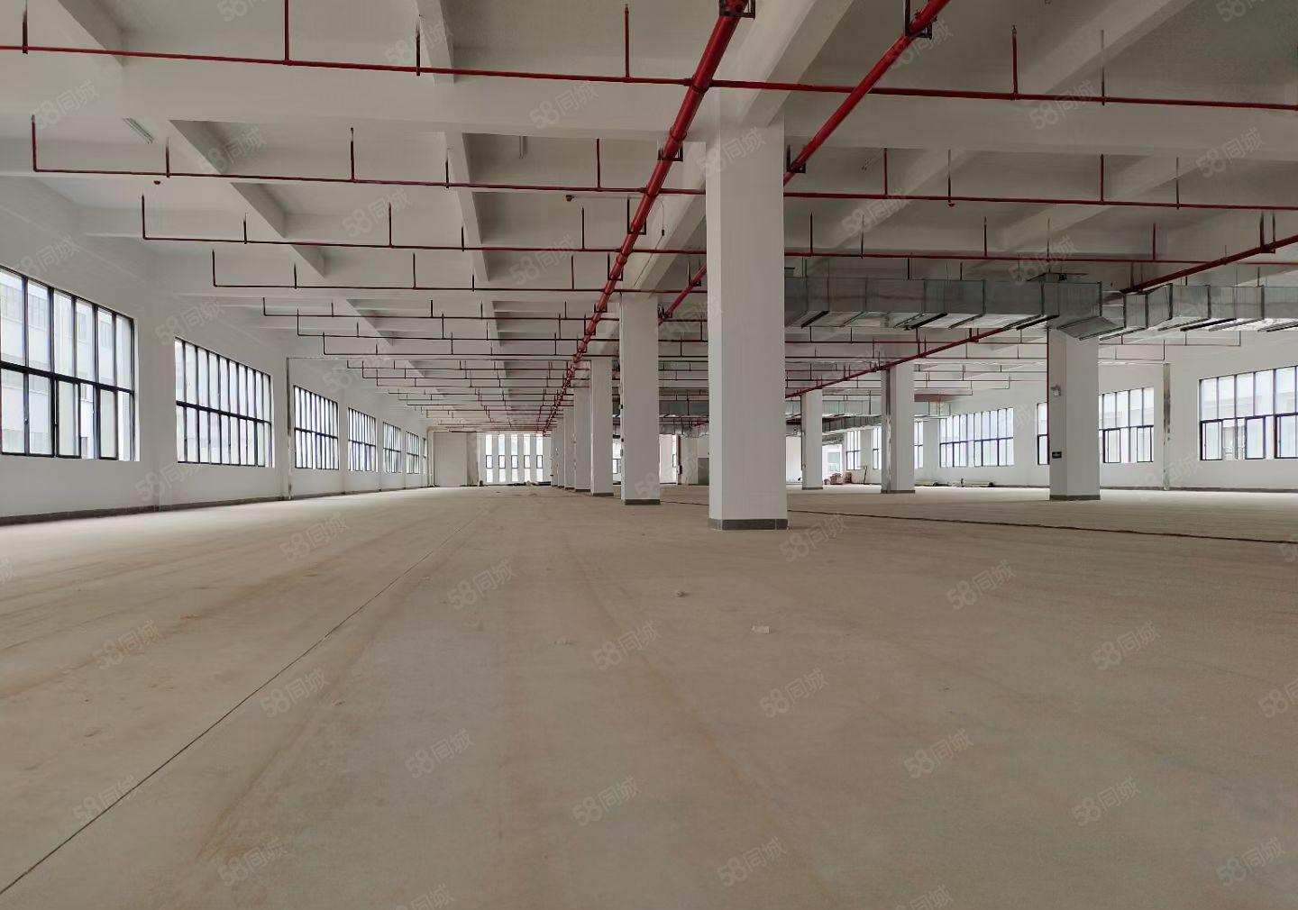 合马安全新一二层5200平方红本标准厂房招租