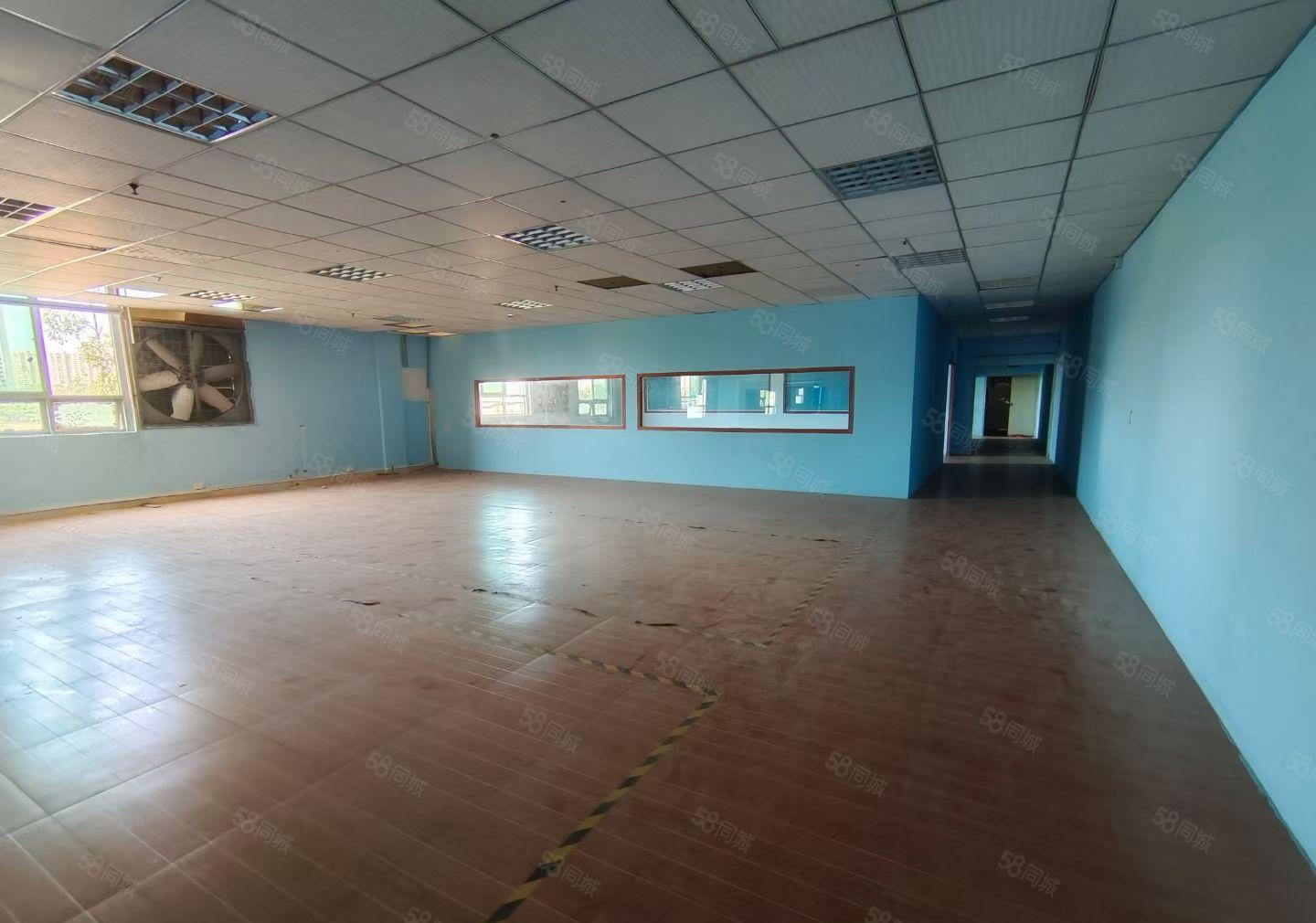 新乐独院花园厂房5250平方可分租