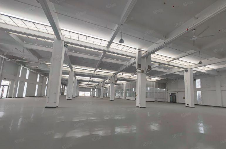 仲恺主干道边上上市公司超大空地出租钢构5500平方大小可分租