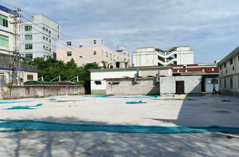 惠城小金口1000平独栋钢构厂房物流仓库出租分租空地大高速口