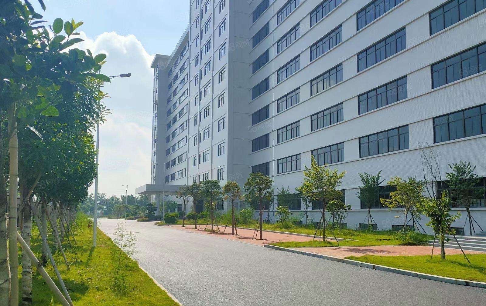 惠城水口千亿东江湾38万平全新高端产业园剩余部分厂房9元起租