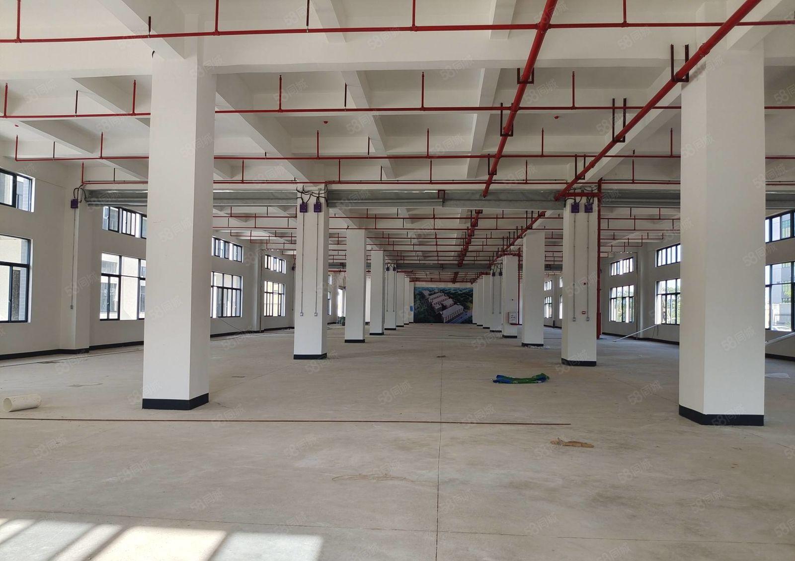 9.9元一平方，数码园北区新建厂房一层1550元厂房出租