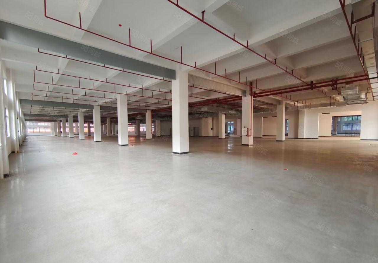 马安全新一二层5200平米红本标准厂房招租