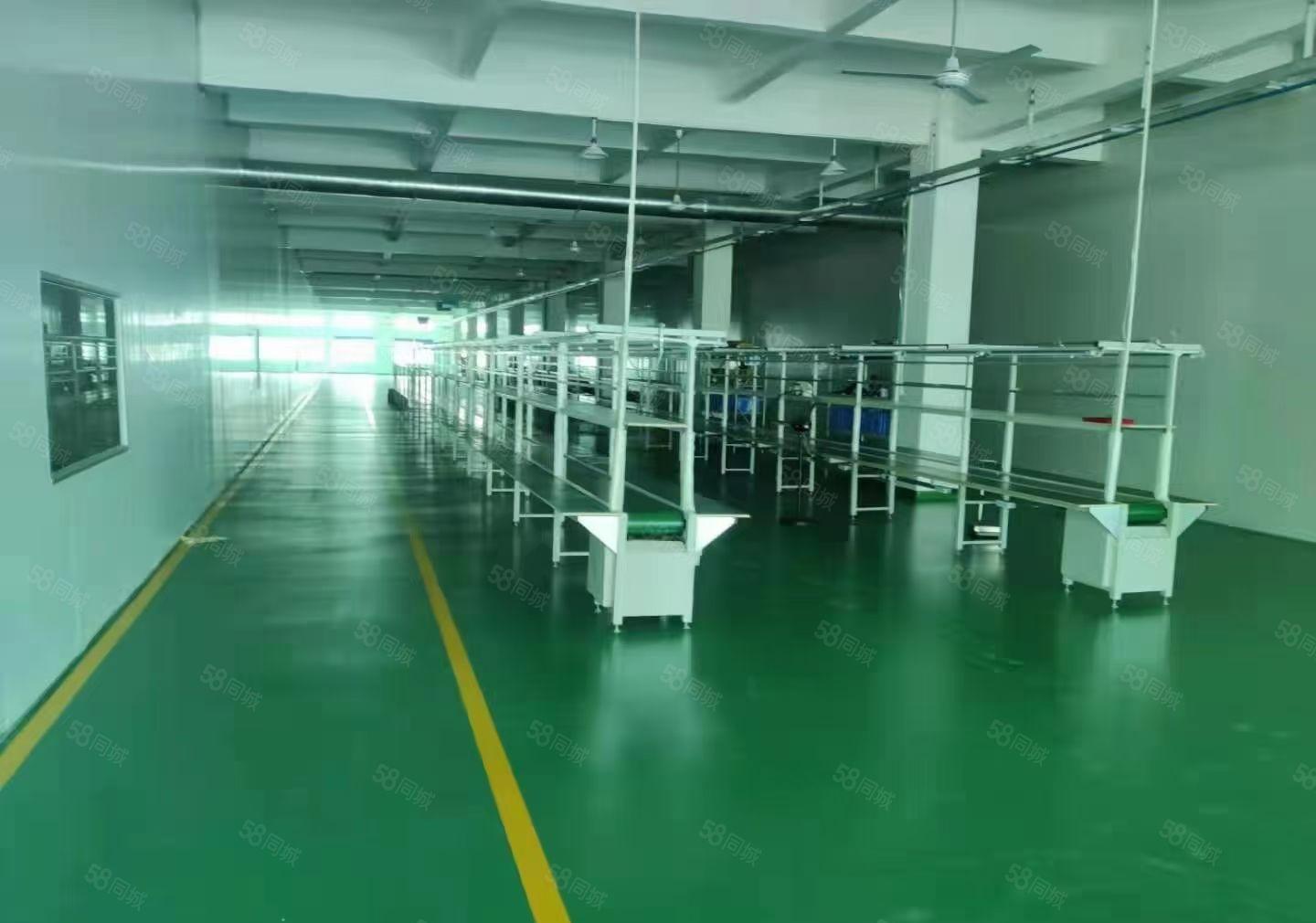 惠城区小金口标准工业园区2楼3楼无尘车间2350平方招租