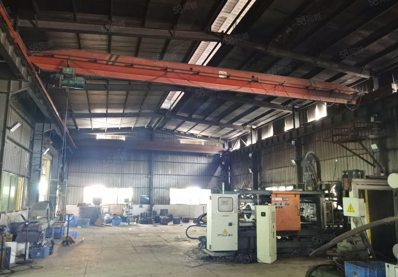 惠城区小金口原房东（800平方）滴水5米钢构厂房 仓库