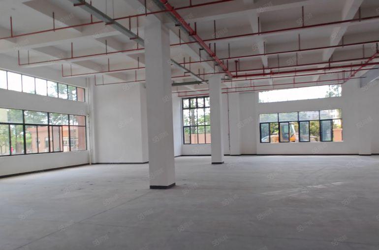 惠州惠城区马安新建厂房出租，适合公司总部，生产，近深圳电子厂