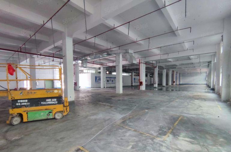 水口独门独院15000平三层厂房出租，整租分租均可