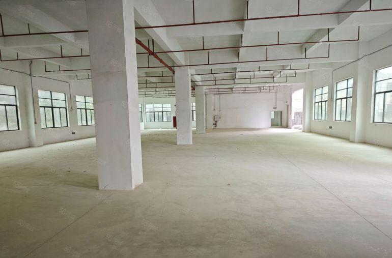 三栋数码园新空出一楼4200平米厂房招租