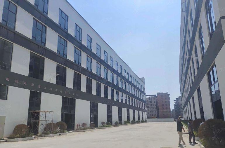 厂房出租惠州市三栋镇标准厂房双排独栋100000方1万方起租