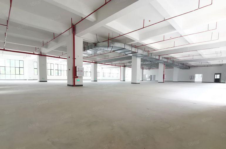 标准厂房，有宿舍配套高速路口附近，可围独院超大空地，水电全通