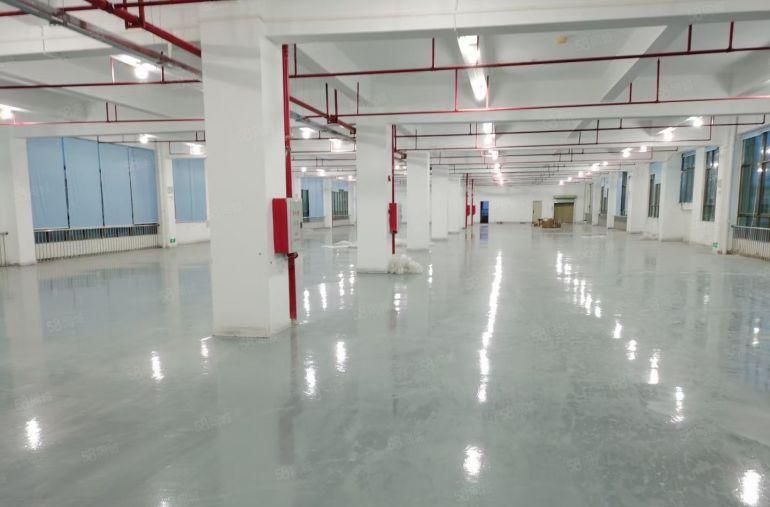 (精装修)东江高新区花园式厂房1500平出租证件齐全