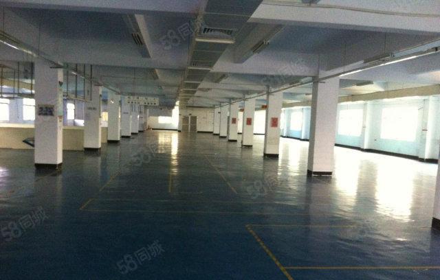 （无公滩）独院厂房4层6000平方