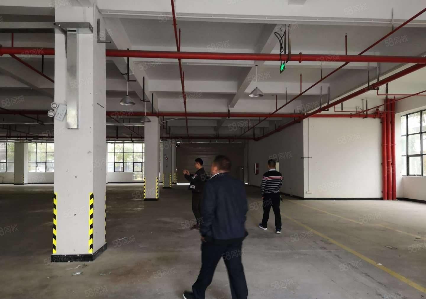 惠州市惠城区原房东全新标准厂房出租，带现成办公室装修