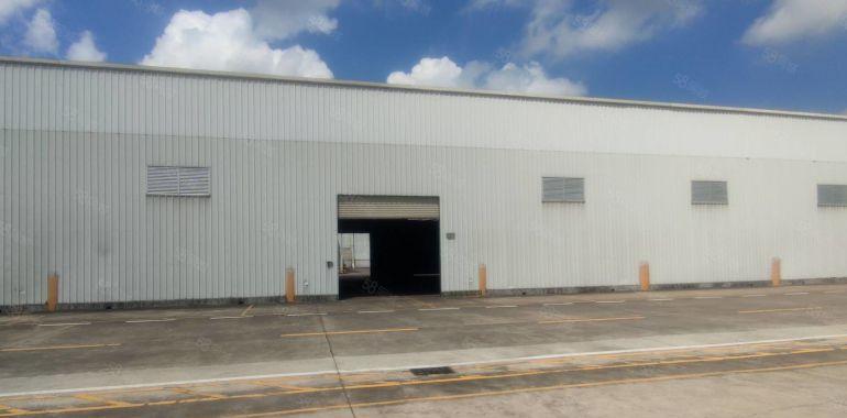 惠城小金口工业园2000平一楼独栋钢构厂房物流仓库出租可分租