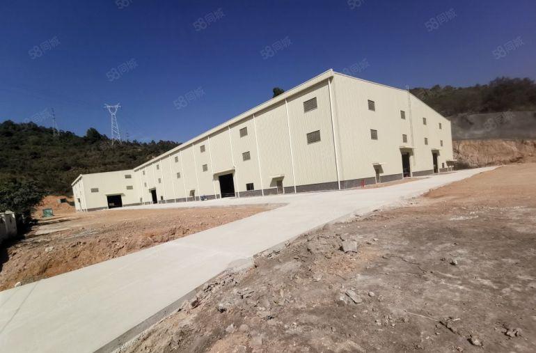 龙丰新出原房东独院钢构滴水9米厂房大小可分租