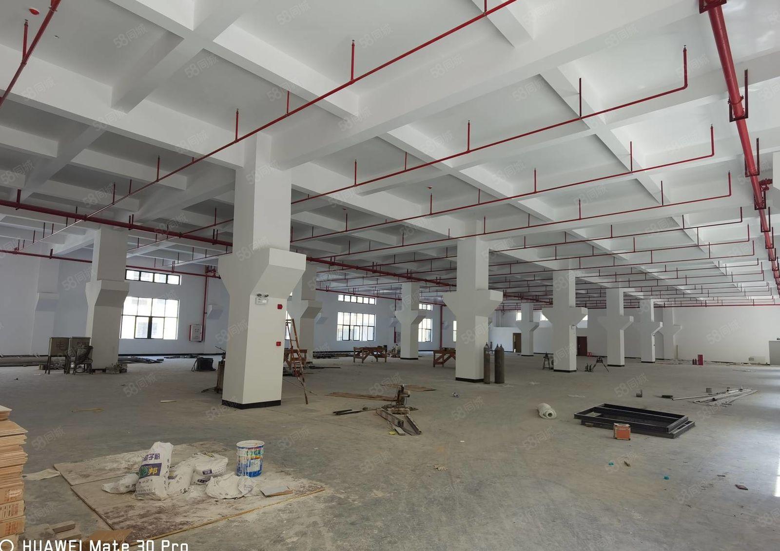 水口仲恺高新区原房东一楼厂房3900平米 层高6米 证件齐全