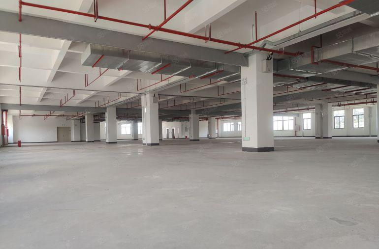 三栋新出全新标准厂房一万平方，形象非常好