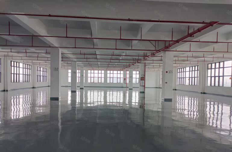 10元马安原房东500方1000方1500方红本标准厂房招租