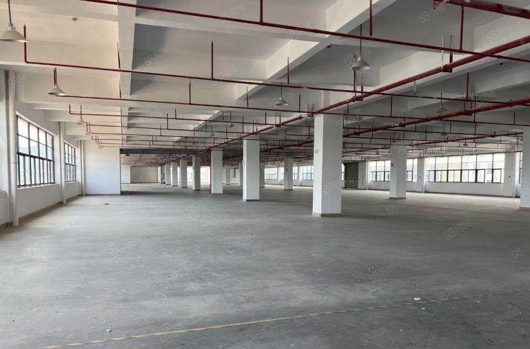 数码园新空出两层4600平方厂房出租，租金适合可以分租