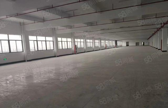 惠城小金口标准厂房2800方出租 可分租