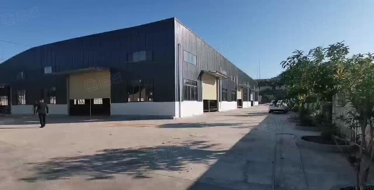 惠城区全新红本独院钢构厂房仓库低价出租滴水9米可分两个小独院