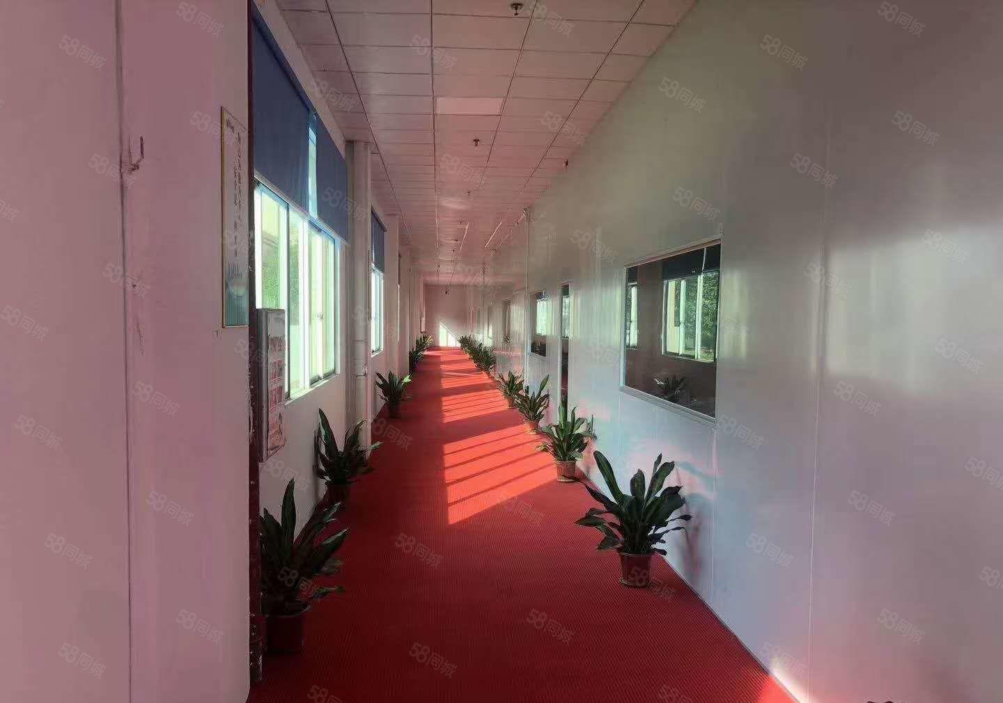 水口原房东厂房出租，一楼1800平方，二楼1300平方