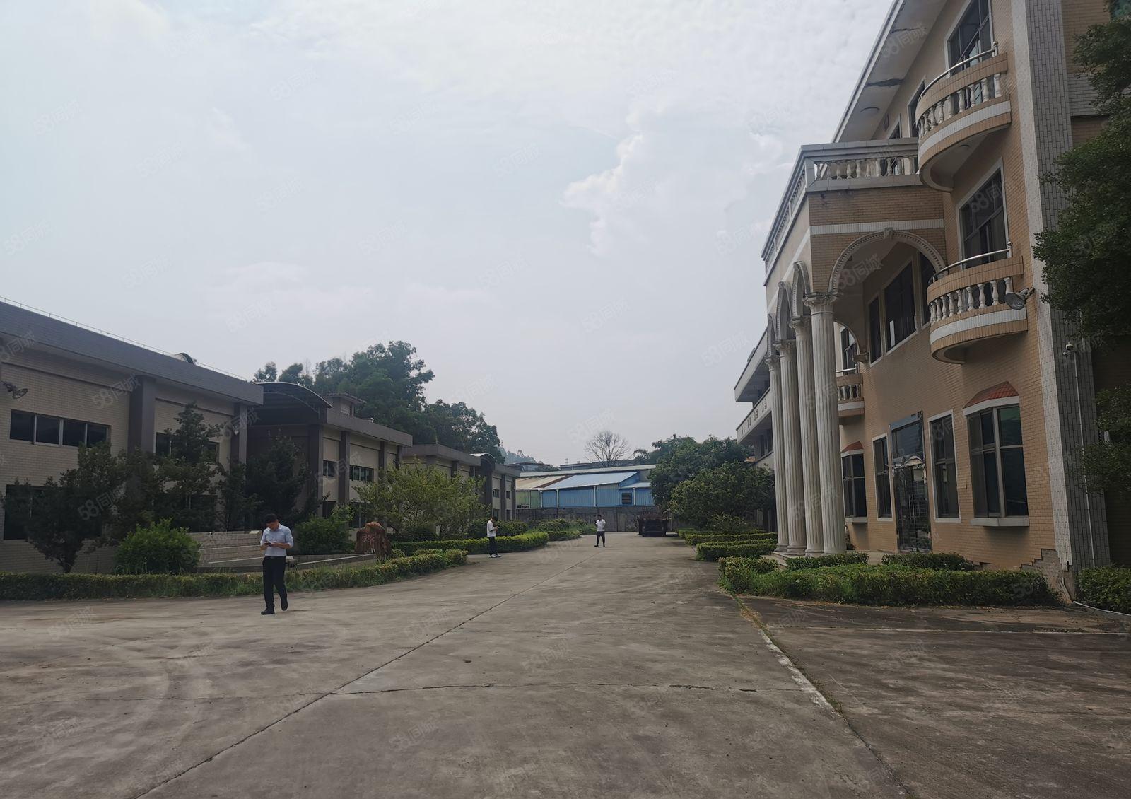 独院厂房出租4800平，300平方起租，五金注塑加工中心位置