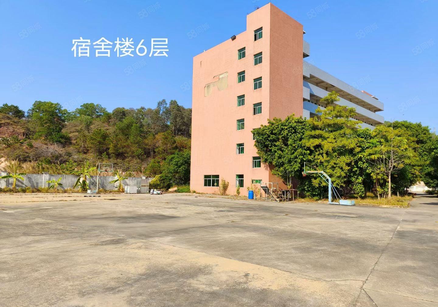 合水口单一层约22000平方花园式钢构厂房招租