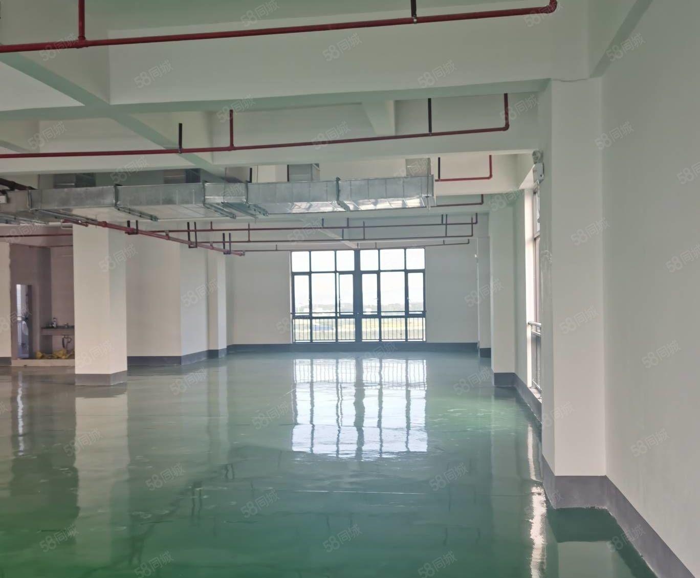 马安新乐工区工业园新空出二楼厂房1400平米 证件齐全