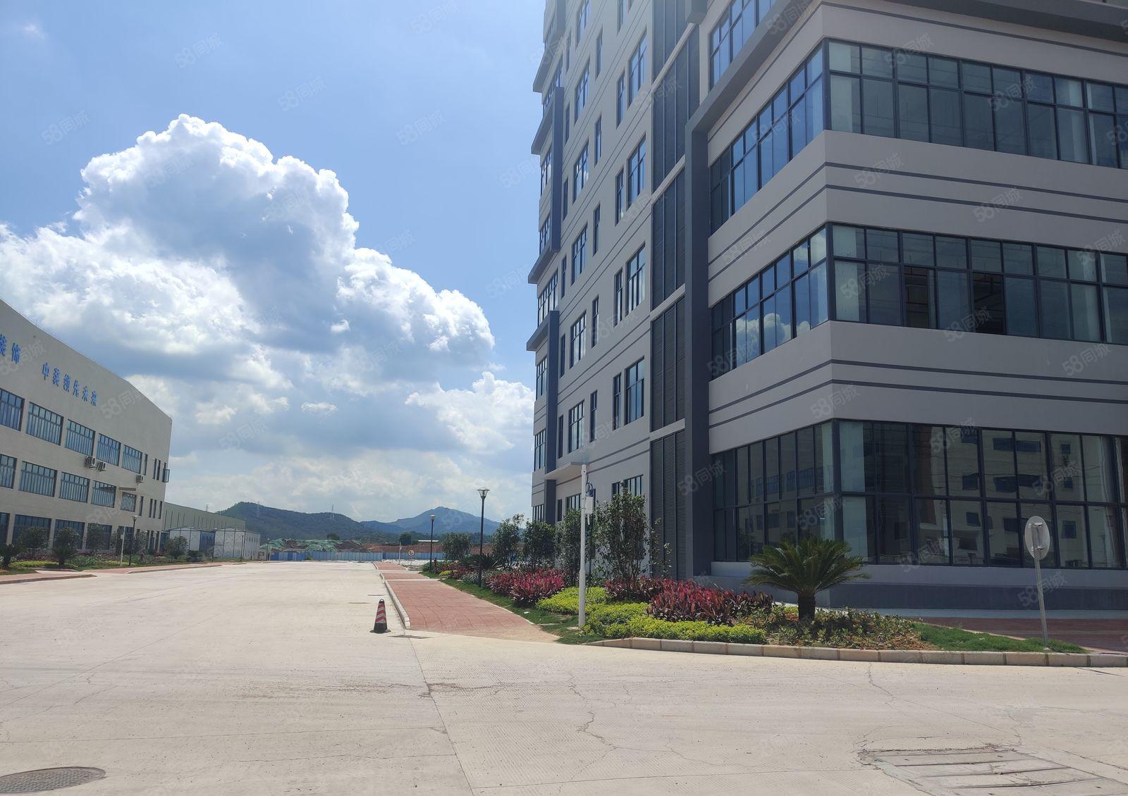 6元100平起租小金口泰美原房东无公摊2万平一楼仓库厂房出租