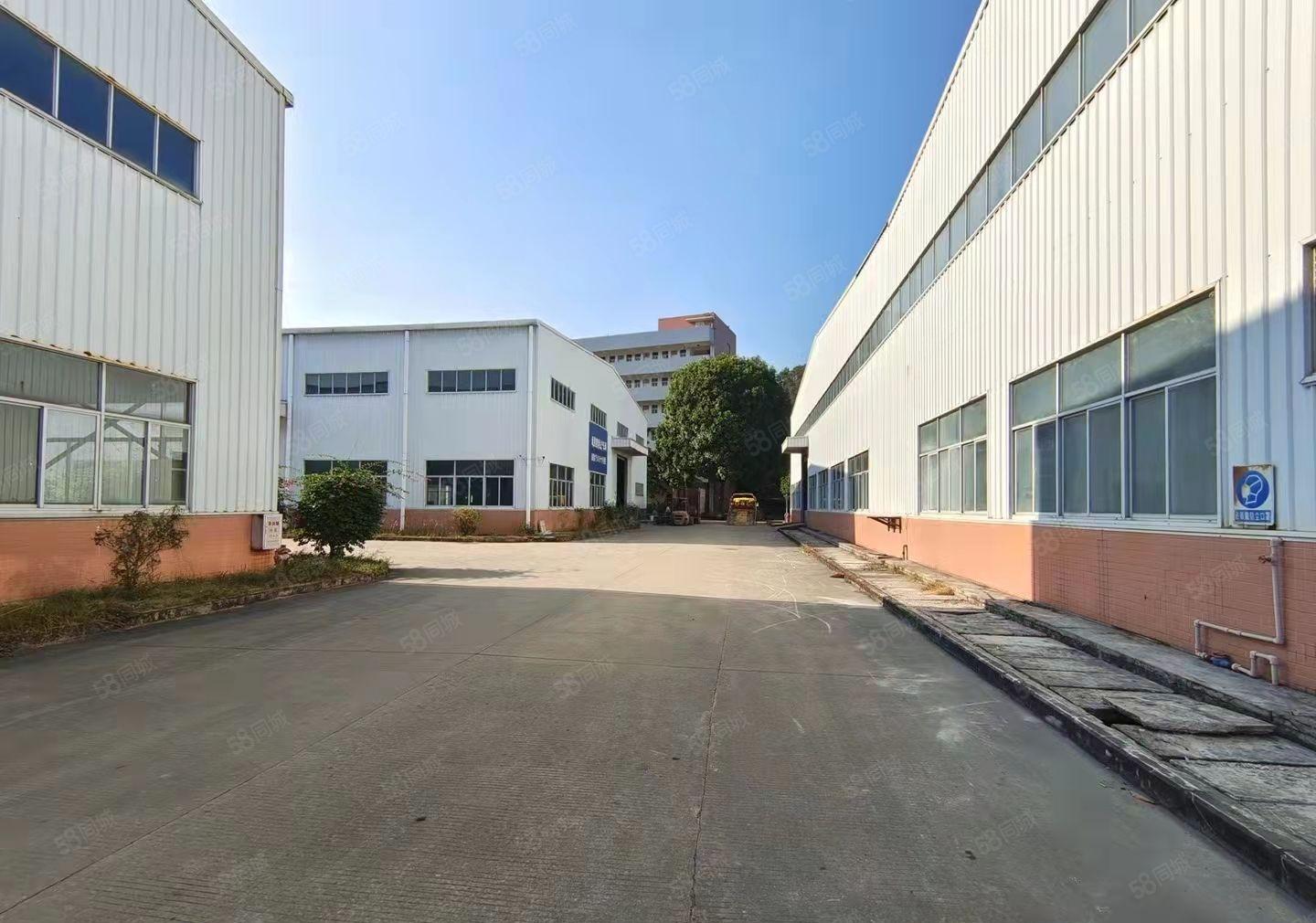 惠城区江北附近10米高砖墙到顶单层厂房3800平方出租