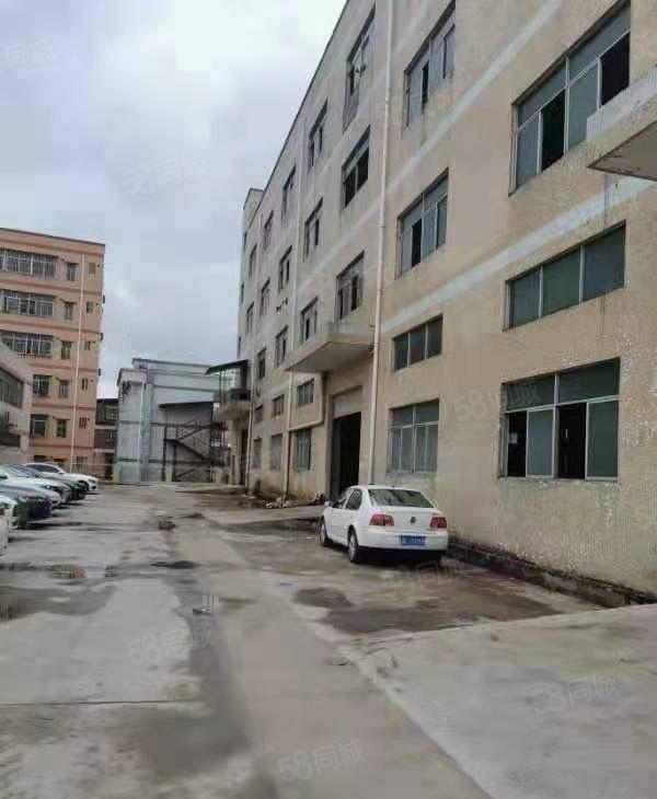 惠城小金口独院一楼1000平高6米低价厂房出租200起租可分