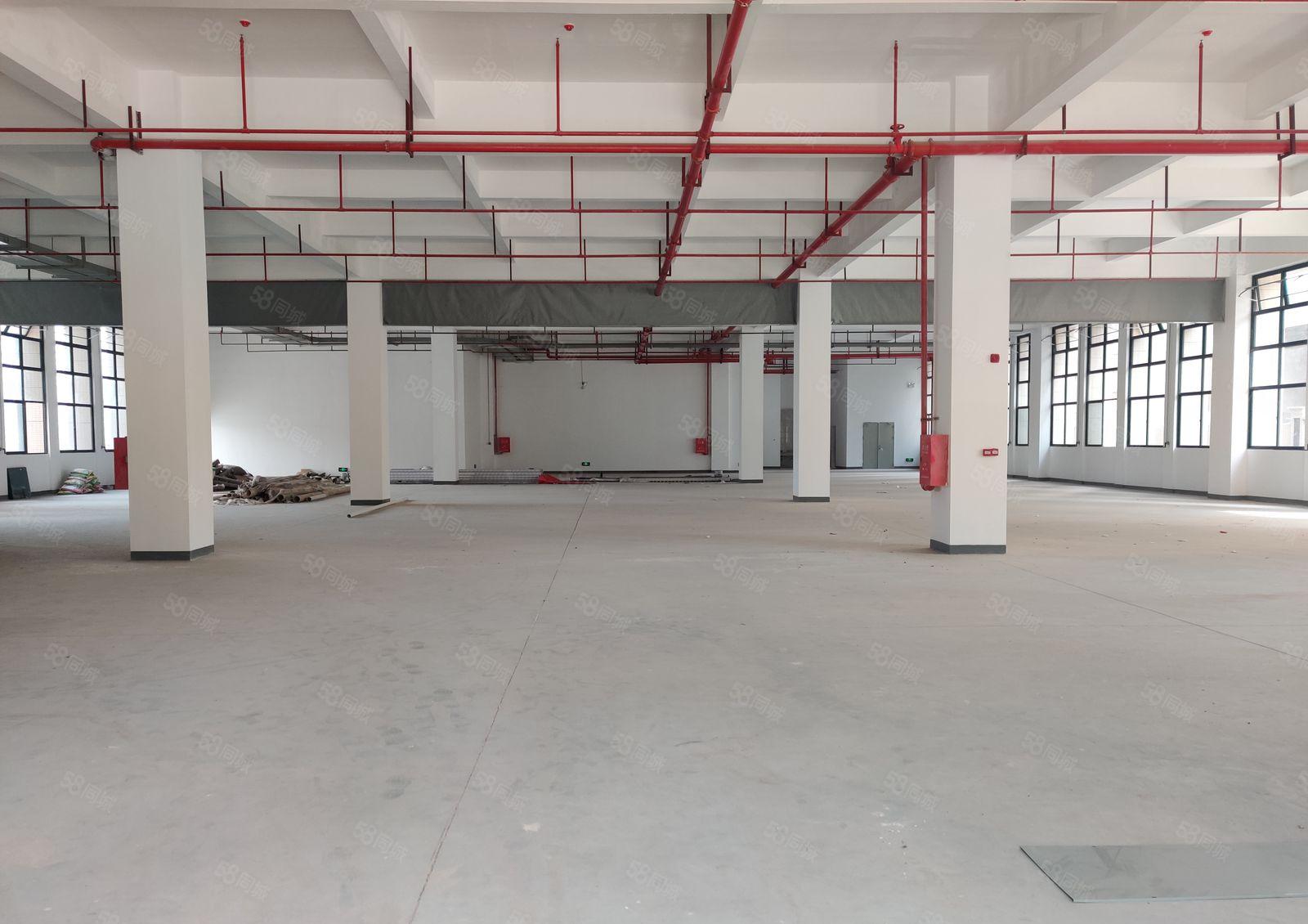 6元200平起租水口江北原房东无公摊2万平厂房一楼仓库出租