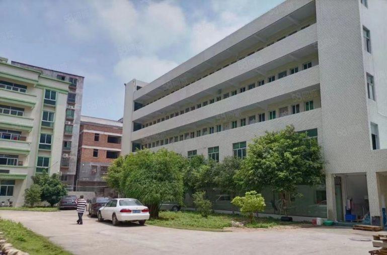 招财.水池独门独院厂房出租惠城水口大道