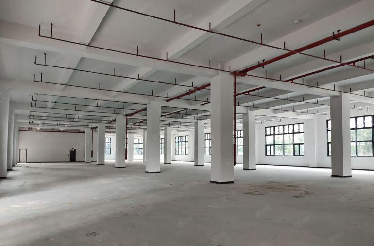 惠州泰美一楼1600平方6米高证齐工业园