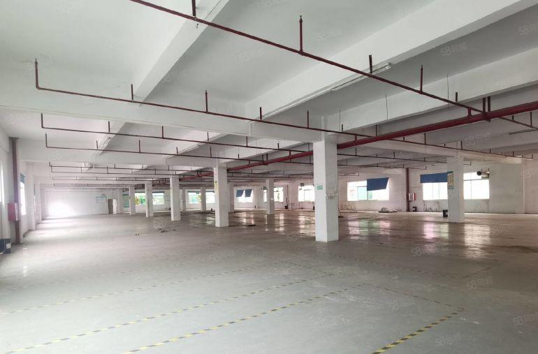 马安新乐一二楼厂房2700平米出租 原房东直租 可以分租