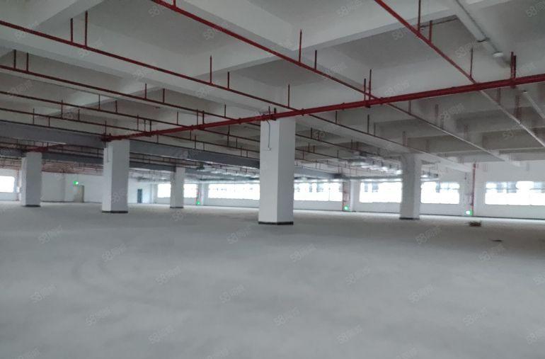 惠州泰美一楼1600平方6米高证齐工业园