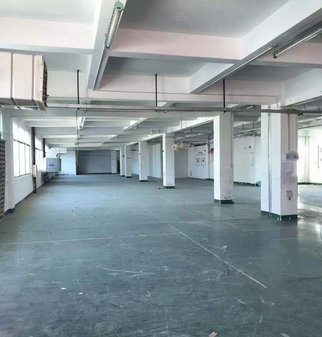 水口湖滨花园式红本厂房1560平米带装修 周边配套完善