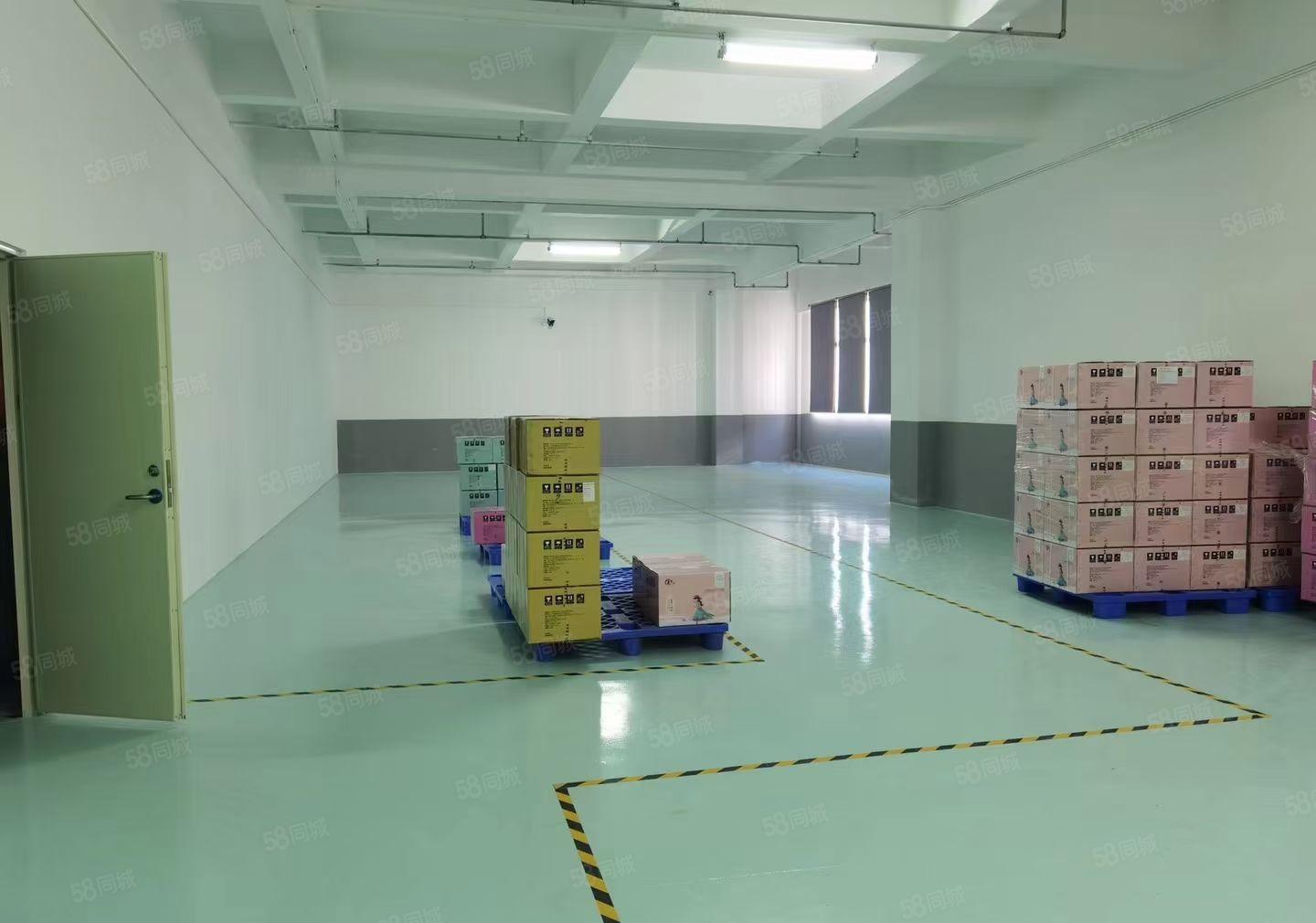 水口十万平米全新产业园内红本厂房招租可分租